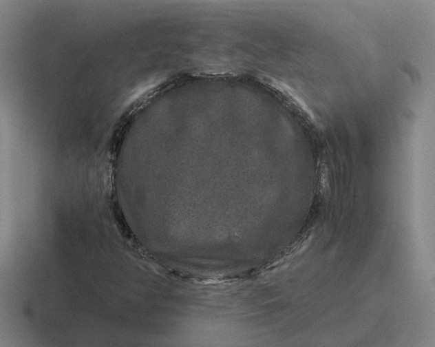 X0000116861350201001051417