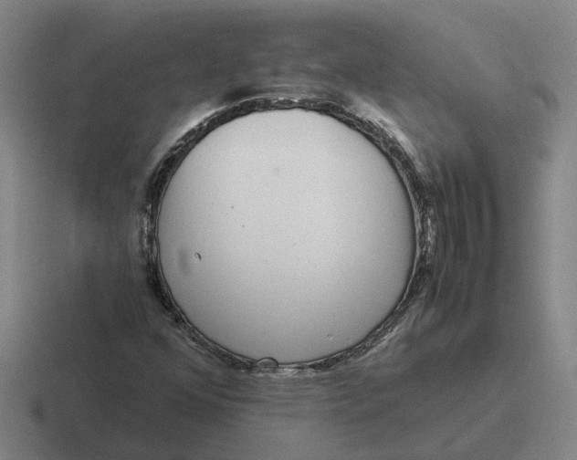 X0000116861352201001051417