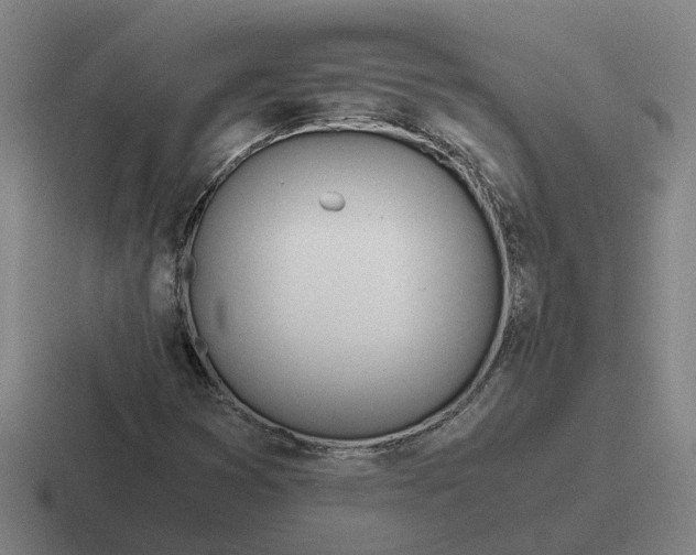 X0000116861353201001051417