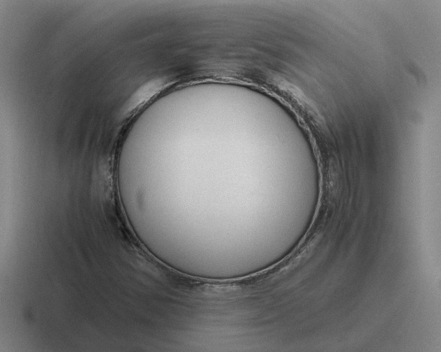 X0000116861354201001051417