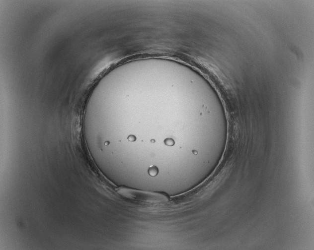 X0000116861355201001051417