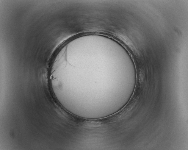 X0000116861356201001051417