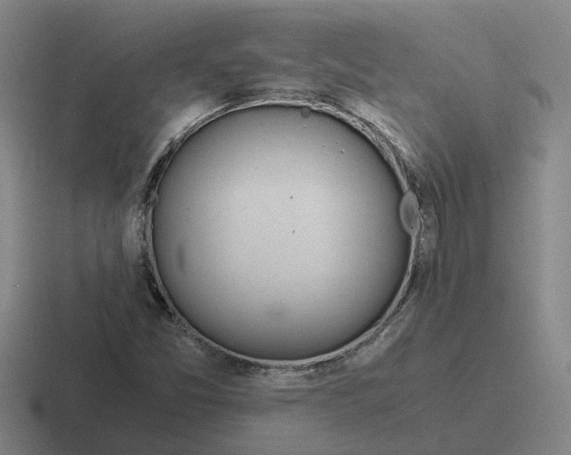 X0000116861357201001051417