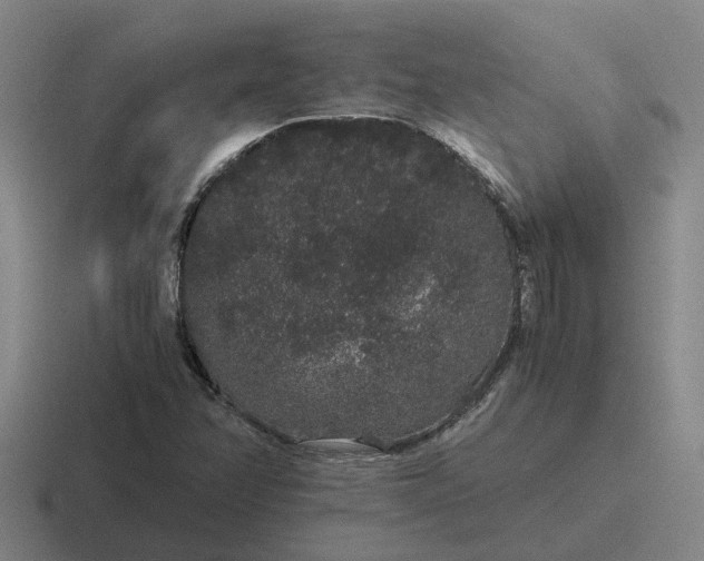 X0000116861358201001051417