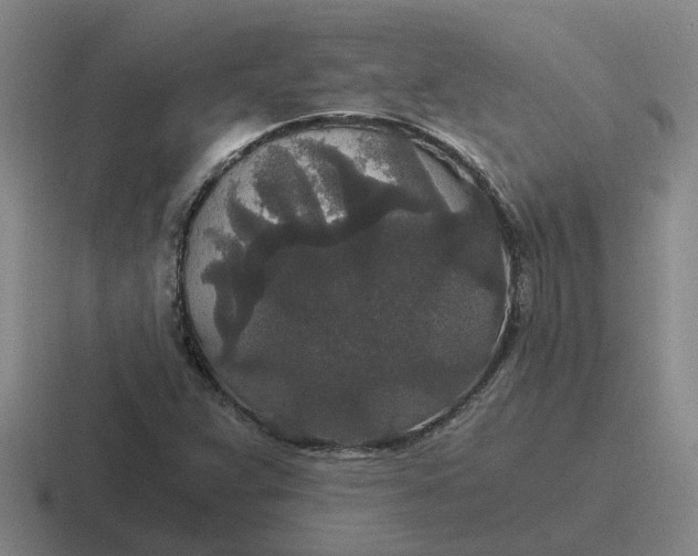 X0000116861359201001051417