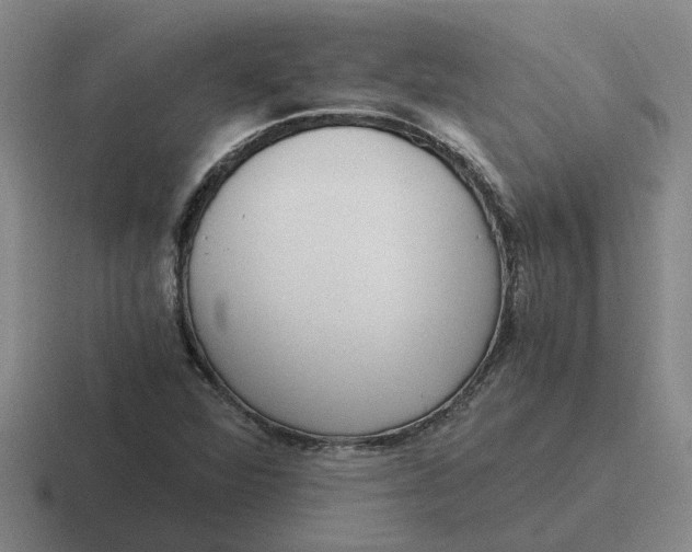 X0000116861360201001051417