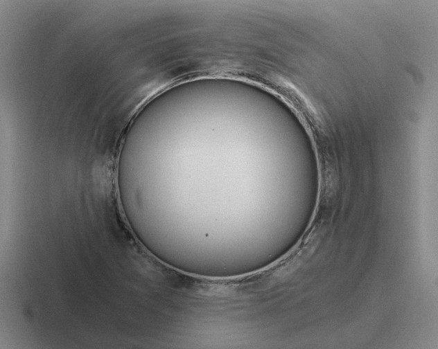 X0000116861361201001051417