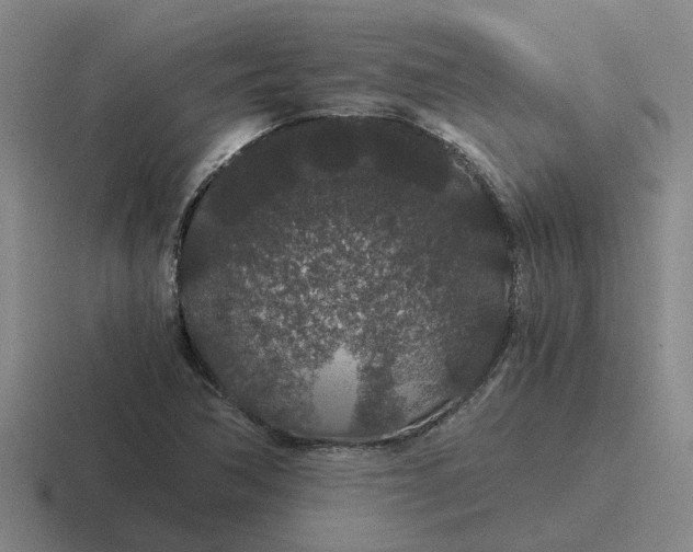 X0000116861362201001051417