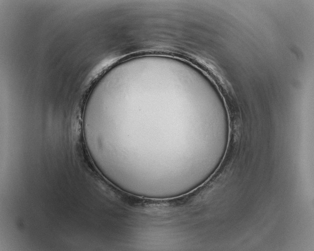 X0000116861363201001051417