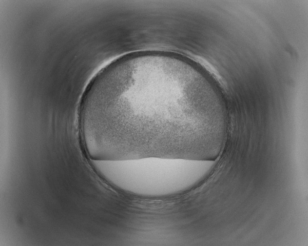 X0000116861364201001051417