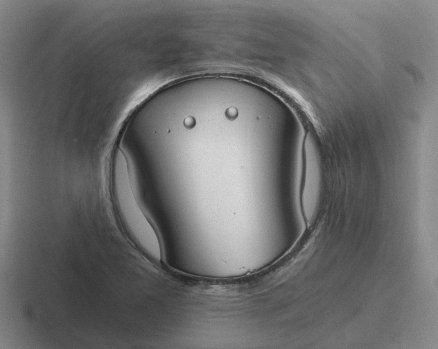 X0000116861365201001051416