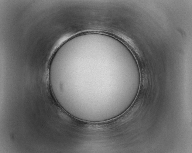 X0000116861366201001051416