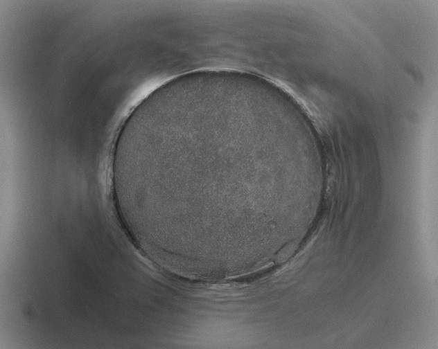 X0000116861367201001051416