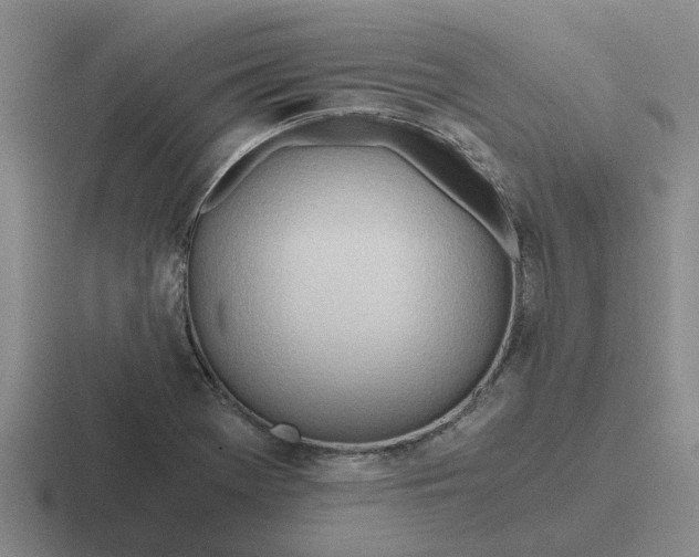 X0000116861369201001051416