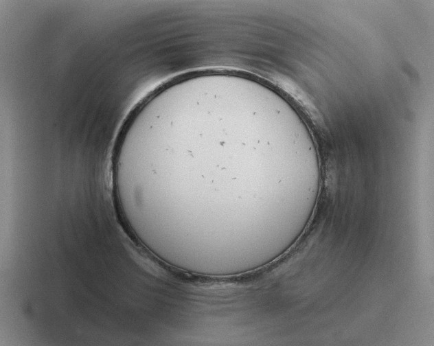 X0000116861372201001051416