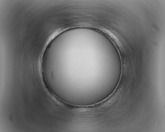 X0000116861373201001051416