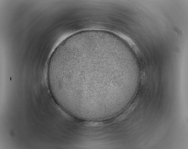 X0000116861374201001051416