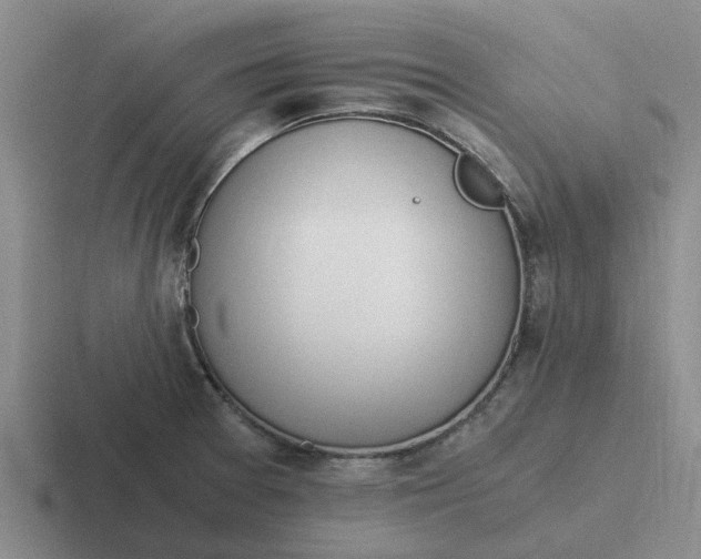 X0000116861377201001051416