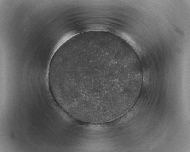 X0000116861378201001051416