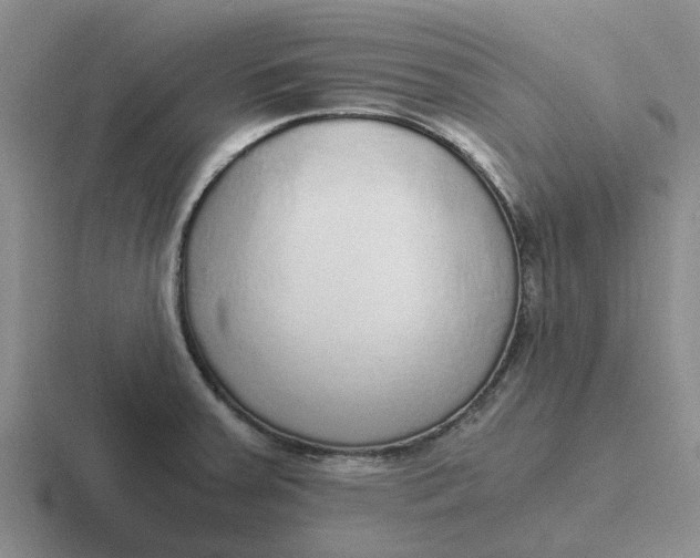 X0000116861379201001051416