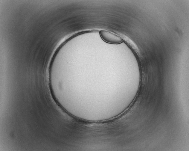 X0000116861380201001051416