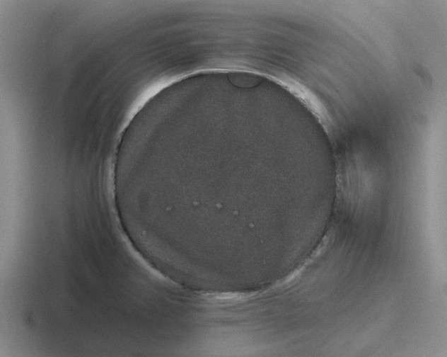 X0000116861382201001051416