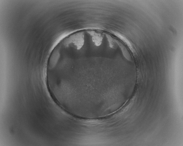 X0000116861383201001051416