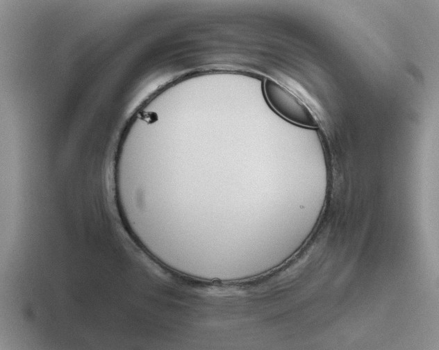 X0000116861384201001051416