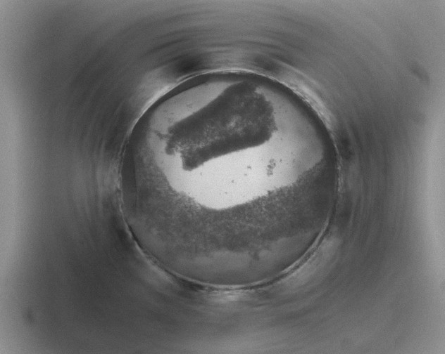 X0000116861385201001051416