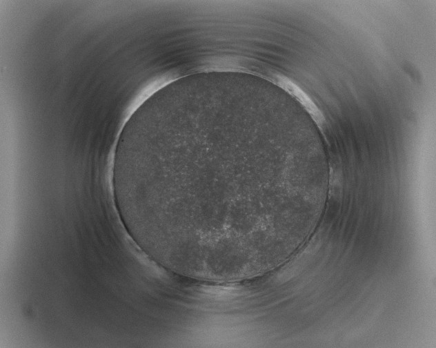 X0000116861386201001051416