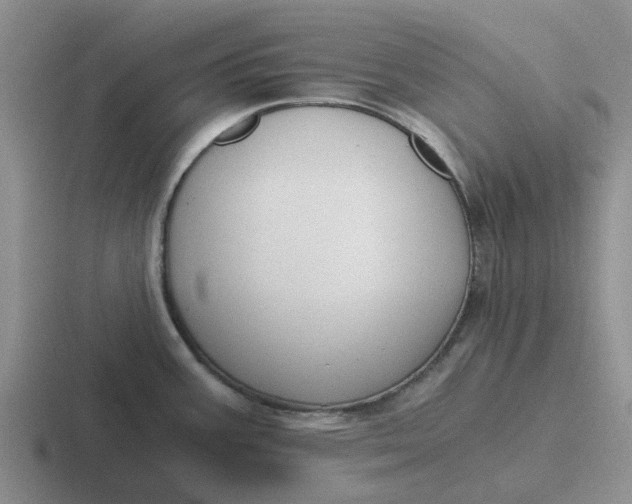 X0000116861387201001051416