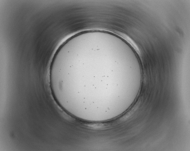 X0000116861388201001051416