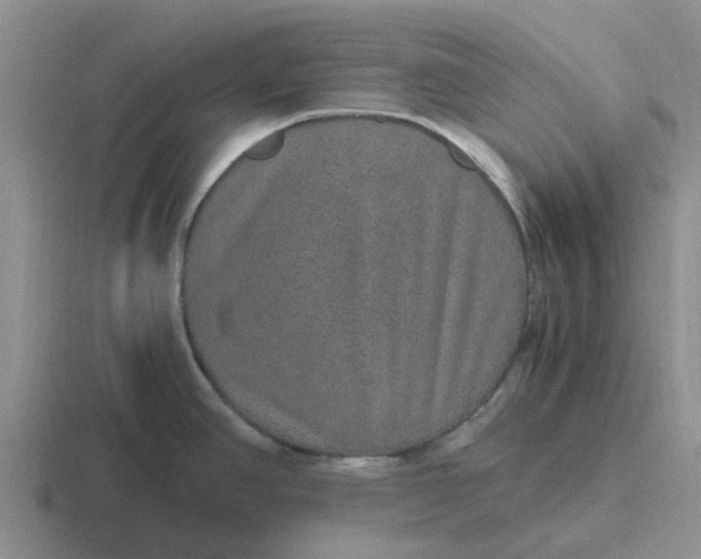 X0000116861390201001051416