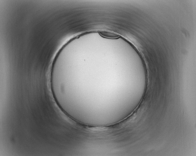 X0000116861392201001051416