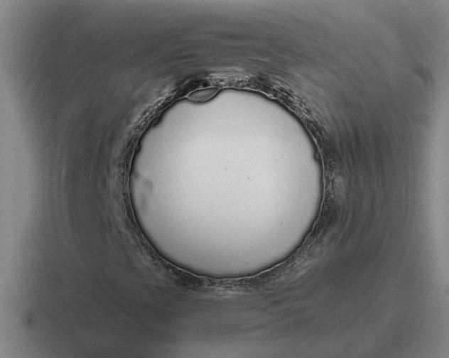 X0000116861393201001051416