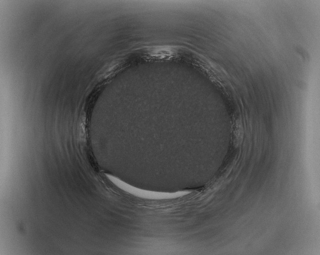 X0000116861394201001051416