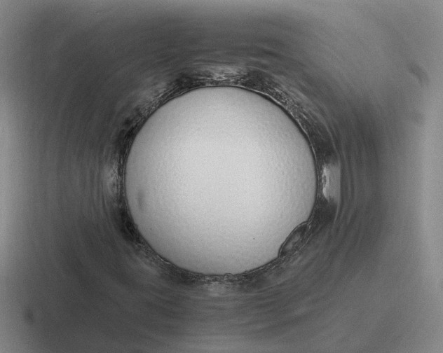 X0000116861395201001051416