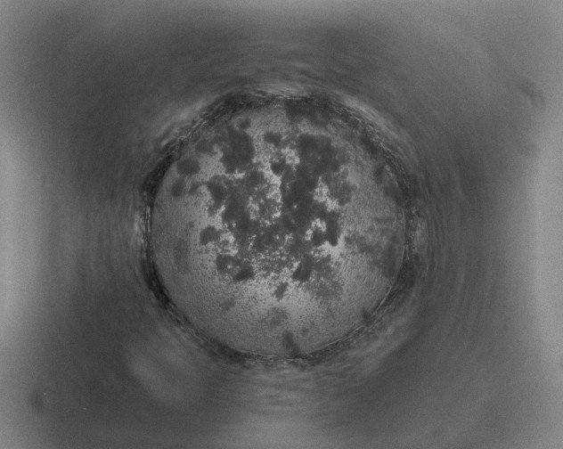 X0000116861397201001051416