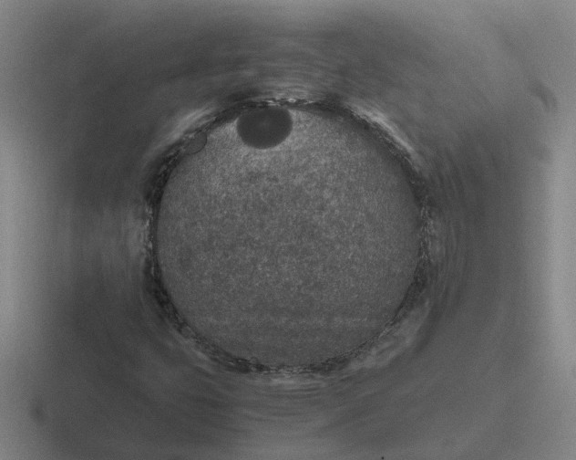 X0000116861399201001051416