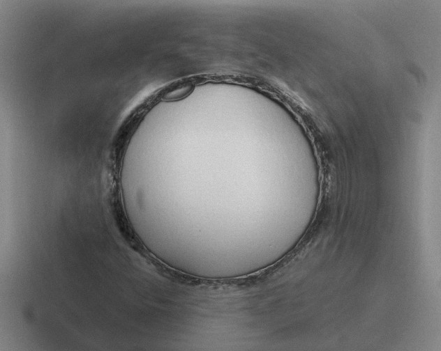 X0000116861400201001051416