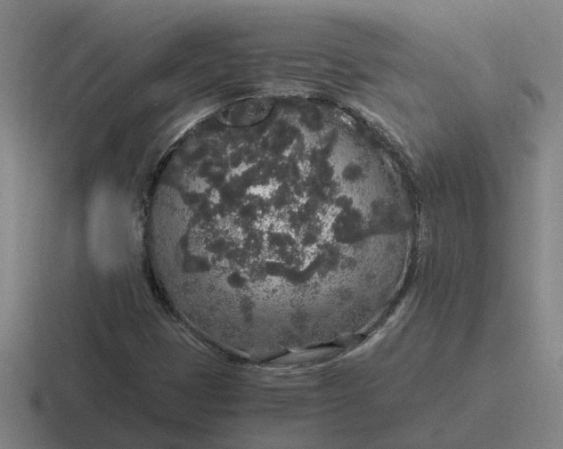 X0000116861401201001051416