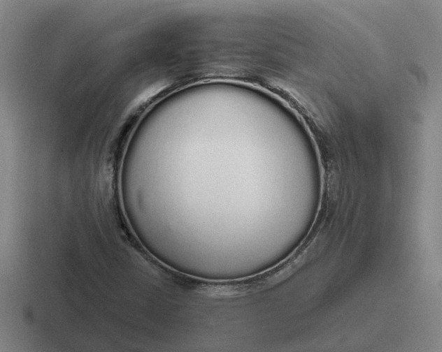 X0000116861402201001051416