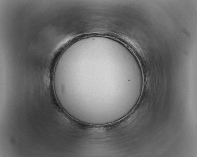 X0000116861406201001051416