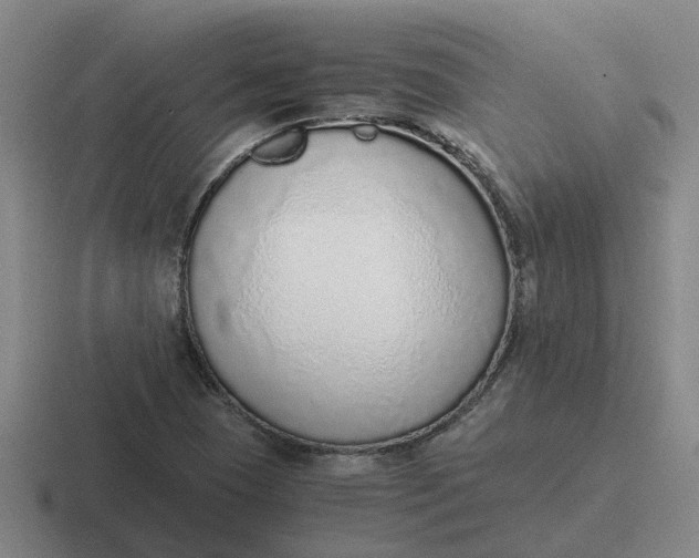 X0000116861409201001051416