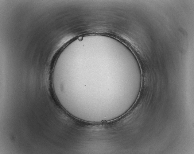 X0000116861410201001051416