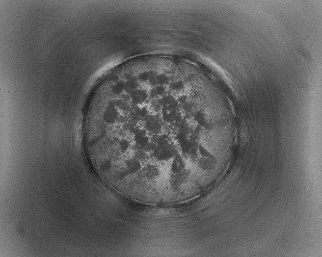 X0000116861411201001051416