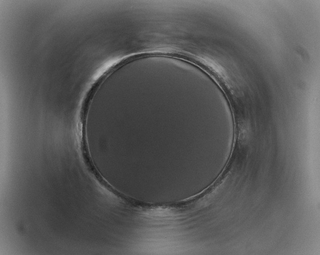 X0000116861414201001051416