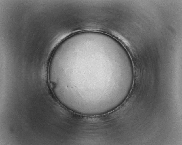 X0000116861415201001051416