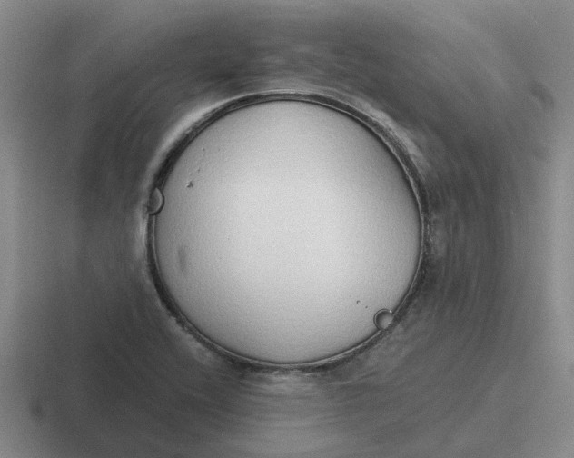 X0000116861416201001051416