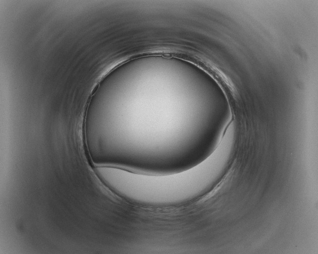 X0000116861417201001051416